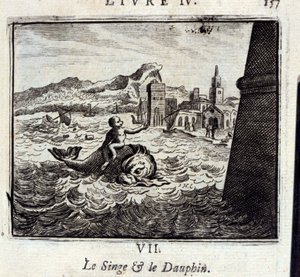The Monkey and the Dolphin