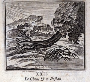 The Oak and the Reed. Fables by Jean de La Fontaine. Illustration by François Chauveau. Edition of 1728 by Francois Chauveau