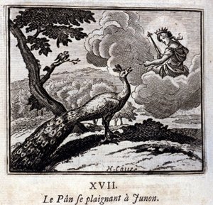 The Peacock Complaining to Juno. Fables by Jean de La Fontaine. Illustration by François Chauveau. Edition of 1728 by Francois Chauveau