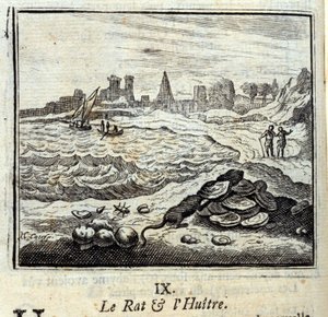 The Rat and the Oyster by Francois Chauveau
