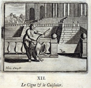 The Swan and the Cook