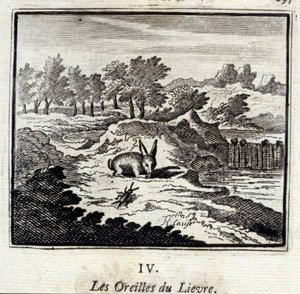 The Ears of the Hare by Francois Chauveau