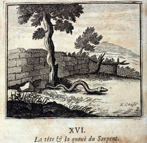 The head and tail of the Snake. Fables by Jean de La Fontaine (1621-95). Illustration by François Chauveau (1613-1676). Edition of 1728 by Francois Chauveau