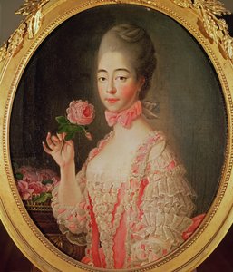 Marie-Josephine Louise de Savoie, Comtesse de Provence