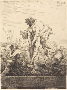 Grape Harvest