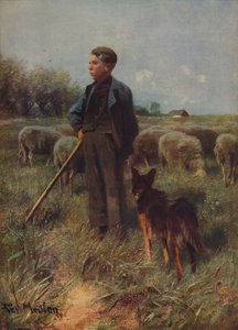The Young Shepherd