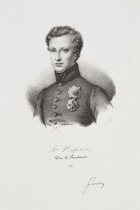 Portrait of Napoleon II by Francois Seraphin Delpech