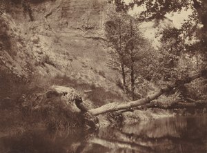 Riverbank, c. 1855