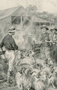 A Sheep Station on Canterbury Plains by Frank Dadd