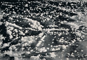 Ice Flowers on Newly Formed Sea Ice