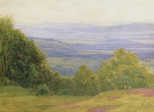 From Kings Ley Green near Haslemere