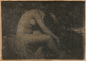 The Cicada