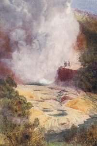 New Zealand: The Champagne Cauldron
