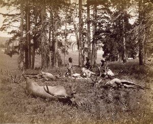 Elk Hunters, Yellowstone, c.1880 by Frank Jay Haynes