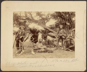 Lispenard Stewart Party, #6 - 5th Ave., N.Y. with Trophies by Old Cedar Tree, Mammoth Hot Springs, Yellowstone National Park by Frank Jay Haynes