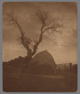 The Curfew of the Sun