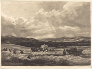 Hayfield in Yorkshire