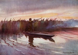 Norfolk Broads: Flight-Shooting by Frank Southgate