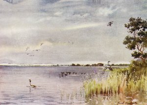 Norfolk Broads: Horsey Mere by Frank Southgate