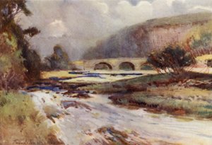 On the Allen