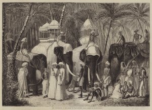 The Elephants of the Rajah of Travancore