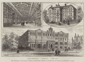 New Buildings of the London Hospital, Whitechapel, opened on Saturday by the Prince and Princess of Wales by Frank Watkins