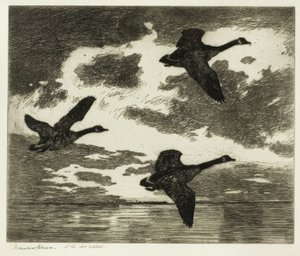 Cloudy Morning by Frank Weston Benson