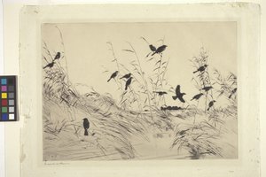 Blackbirds And Rushes by Frank Weston Benson