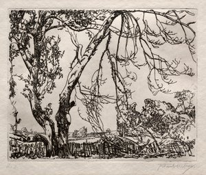 Apple Tree by Frank Wilcox
