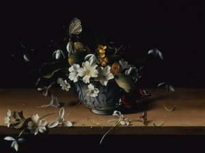 Flowers in a Blue and White Chinese Porcelain Bowl with a Red Admiral Butterfly on a Wooden Ledge