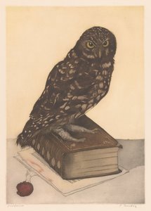 Owl Sitting on a Book by Frans Everbag (signed by artist)