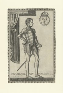 Portrait of King Charles IX of France by Frans Huys