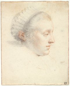 Profile Portrait of a Lady