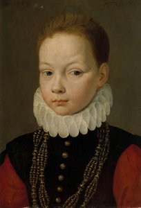 Portrait of a Nine-Year-Old Boy by Frans I Pourbus