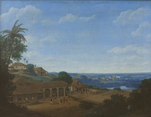 Landscape in Brazil with Sugar Plantation