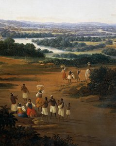 Serinhaem Village in Brazil or The Home of a Sugar Cane Planter in Brazil