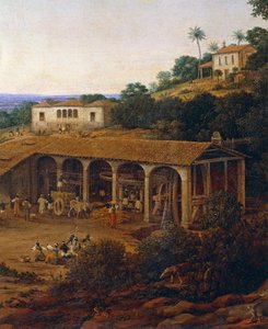 Sugarcane Mills in Brazil