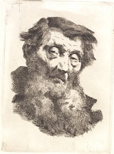 Old Man with Split Gray Beard