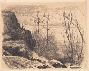 Test Plate: Landscape with Rocks and Trees