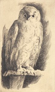 Test Plate: An Owl by Frans Schwartz