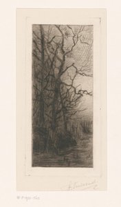 Trees by the Water by Frans Smissaert (signed by artist)