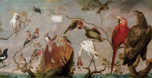 Birds Concert. Painting by Frans Snyders 17th century by Frans Snyders