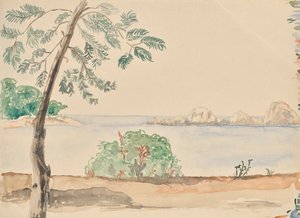Coast in Florida (?)