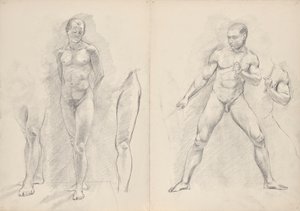 Male Nudes
