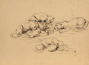 Fighting Sunda Panthers by Franz Barwig d. Ä.