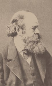 Portrait of the Composer Robert von Hornstein 1833-1890 by Franz Hanfstaengl