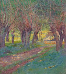Pollard Willows in Weyer