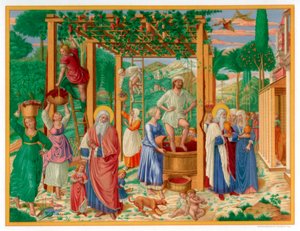 The Vintage and Drunkenness of Noah