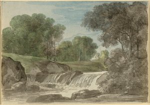 Tree Landscape