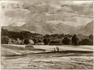 Foothill Landscape